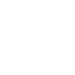 Social Action, Community & Service