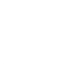 Trips, Vists and Visitors