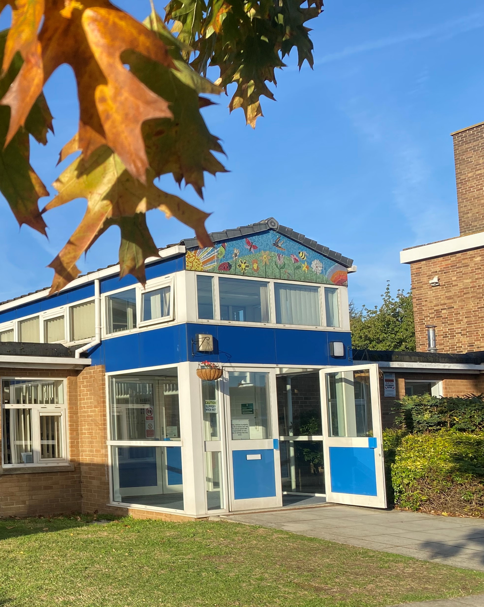 📢 Welcome to the Orchard Meadow News Hub! Your Guide to What's Happening.